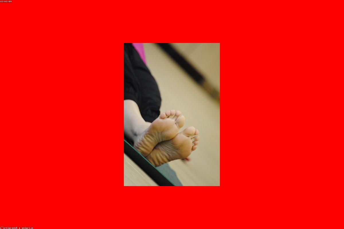 Hatha vs Vinyasa vs Ashtanga — Which Yoga Style is Right for You?